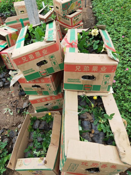 发货现场