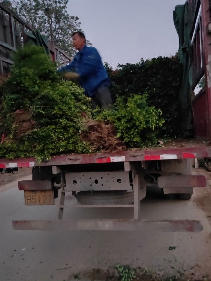 发货现场